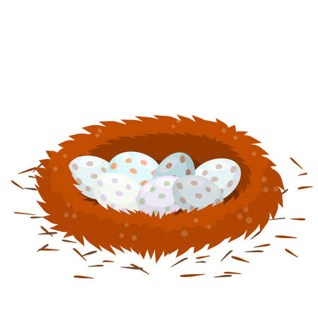 Nest and egg. Place for Chicks. Cartoon flat illustration. element of nature and forests. Wildlife. Bird houseのイラスト素材