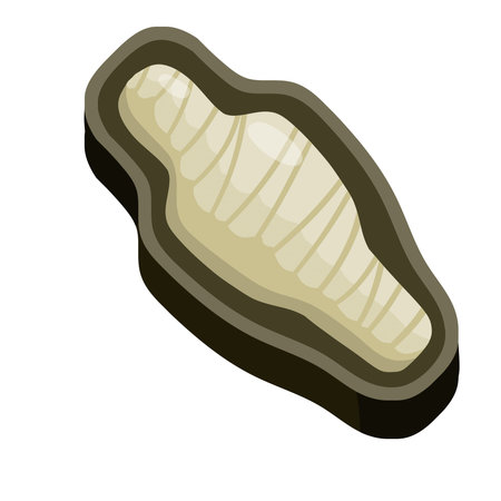 Mummy in a coffin. Sarcophagus with body. Ancient ruler Pharaoh of Egypt. Archeology and the corpse. Halloween monster. Flat cartoon illustrationのイラスト素材