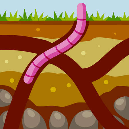 Worm in the ground. Burrows and passages. Nature and the insect. Soil in the section. Flat cartoon illustrationのイラスト素材
