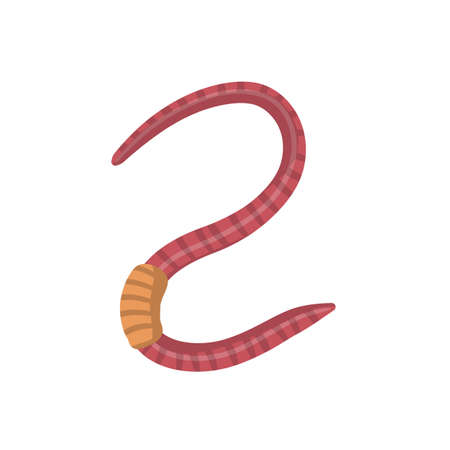 Set of earthworms. Crawling insects. Pink worm. Small, slimy, long animal. Isolated Fishing bait. Cartoon flat illustrationのイラスト素材