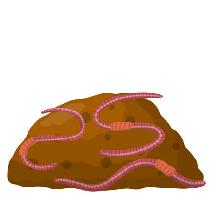 Isolated Fishing bait. Cartoon flat illustration. Crawling insect in dirt. Pink worm. Small and slimy, long animalのイラスト素材