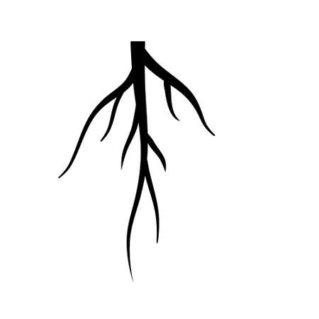 Root. Underground part of plant. Black icon.のイラスト素材