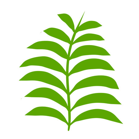 Fern leaf. Element of nature and the forest. Green bracken plant. Flat cartoon illustration isolated on whiteのイラスト素材