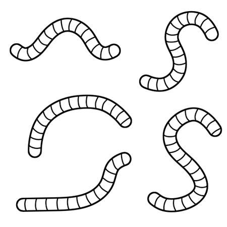 青虫の写真 イラスト素材一覧 39 976件 ストックフォトのamanaimages Plus