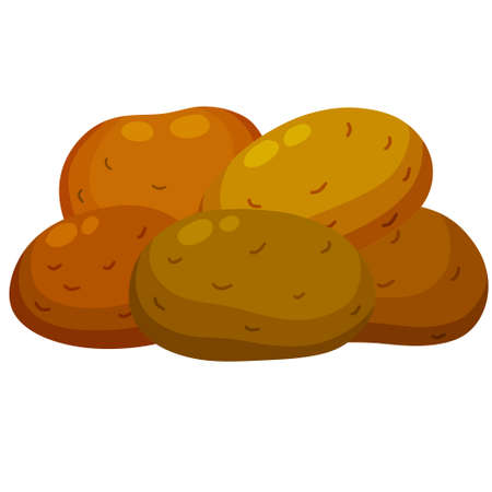 Potato. Brown root vegetable. Set of Natural farm product. Flat illustrationのイラスト素材