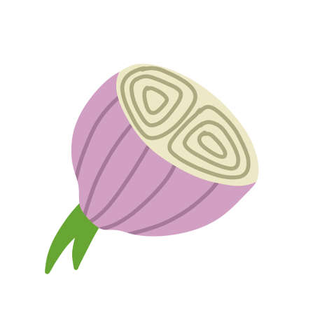 Onion in doodle style. Vegetable food and harvest. Simple drawing. Half Spicy onion. Cartoon sliced leek bulbのイラスト素材