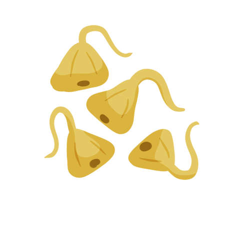 Sprouted buckwheat. Vegetable sprouts. Grains with roots. Antioxidant and detox. Flat cartoon. Healthy diet and super foodのイラスト素材