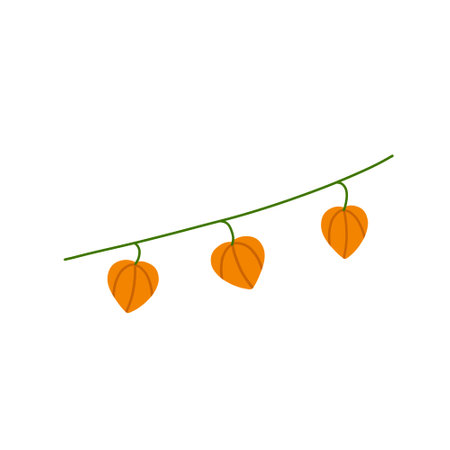 Physalis branch. Orange flower. Ornamental plant. Flat cartoon illustrationのイラスト素材