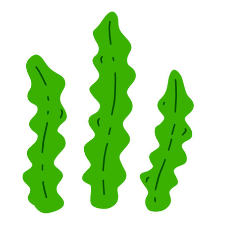 Kelp. Sea cabbage. Green leaves of laminaria. Edible algae. Vegetarianism and natural food. Flat cartoon illustrationのイラスト素材