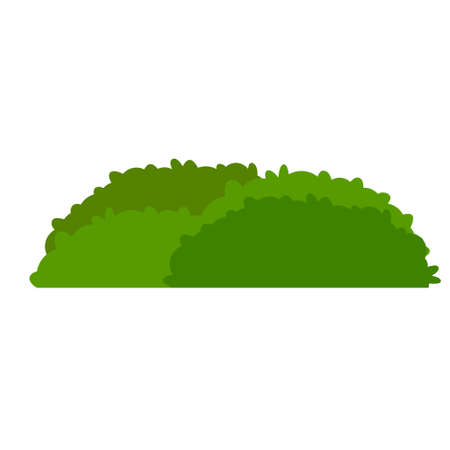 Green hedges bushes. Element of garden. Small plant with leaves. Rural and forest environment. Part of background. Cartoon flat illustrationのイラスト素材