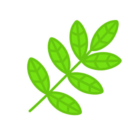 Branch with green leaves. Plant and part of tree. Symbol of freshness. Flat cartoon illustration isolated on whiteのイラスト素材