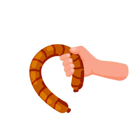 Hand hold sausage. Flat cartoon illustration isolated on white. Man offers food. Meat productsのイラスト素材