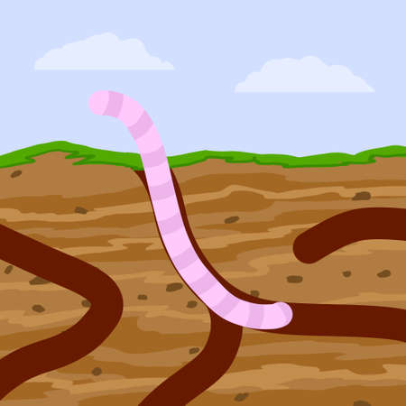 Worm in ground. Spring concept. Burrows and passages. Nature and insect. Soil in section. Flat cartoon illustrationのイラスト素材