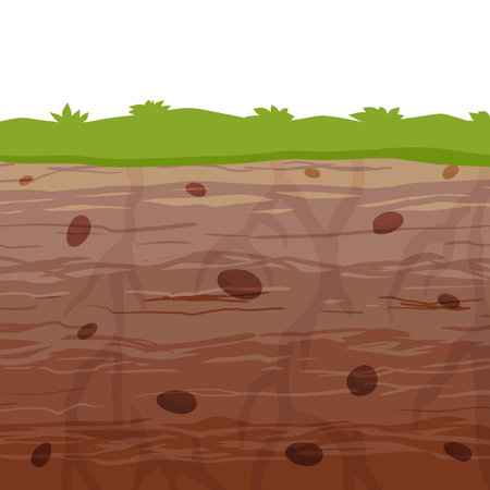 Land in the section. Underground background. Geological layer.のイラスト素材