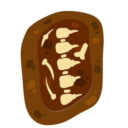 Bone and ridge in ground. Hole in soil. Archaeological discovery.のイラスト素材