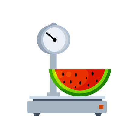 Watermelon on scale. Shopping in a grocery store. Weighing of fruit. Decoration for the store and counter. Flat cartoon illustrationのイラスト素材
