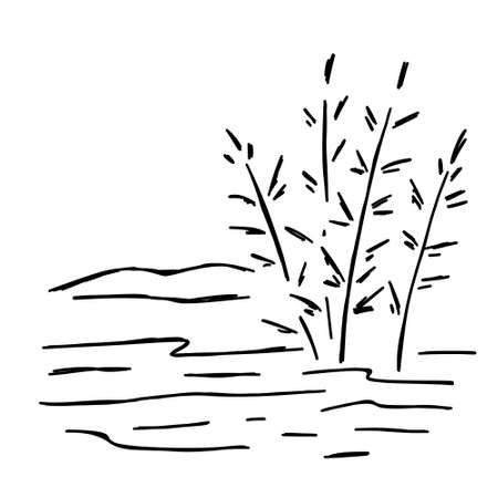Doodle swamp. Sketch of natural pond or lake with reeds and sedge. Line designのイラスト素材