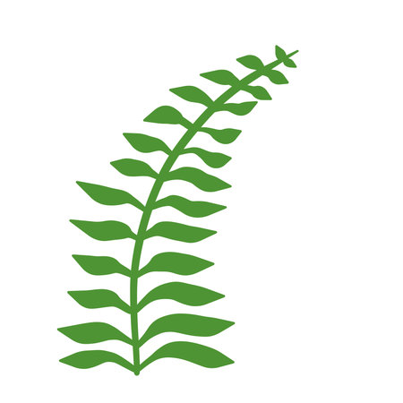 Fern leaf. Element of nature and the forest. Green bracken plant. Flat cartoon illustration isolated on whiteのイラスト素材