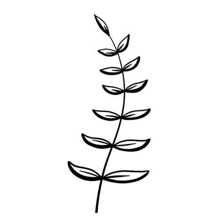 Natural plant. Abstract doodle flower.のイラスト素材