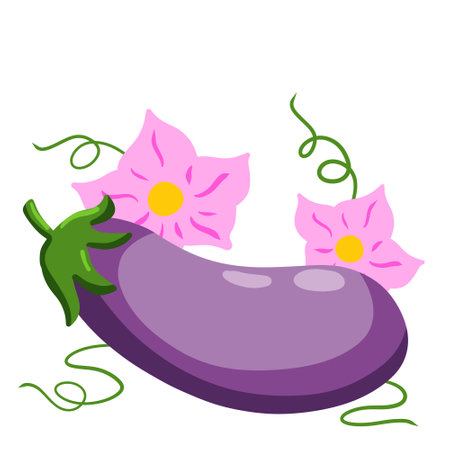 Eggplant. Pink flowers and stem with green tendrils. Flowering of vegetable.のイラスト素材