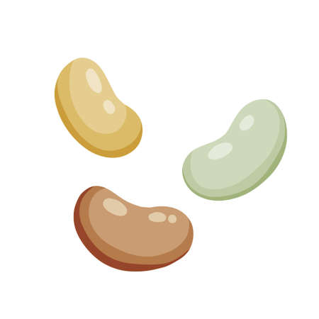Bean grains. Different soya sprouts in flat style isolated on white backgroundのイラスト素材
