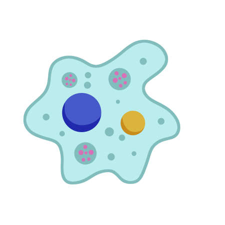 Amoeba cell. Small unicellular animal. Virus and bacteria. education and science. flat cartoon illustrationのイラスト素材