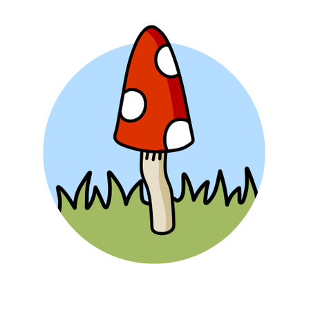 Mushroom in a circle with red cap. Fly agaric on the green grassのイラスト素材