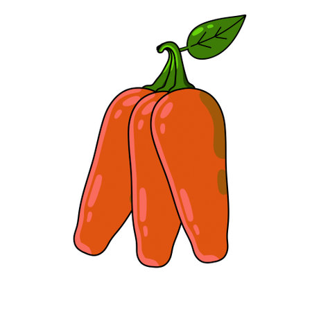 Hot red pepper. Mexican spice. Outline cartoon isolated on whiteのイラスト素材