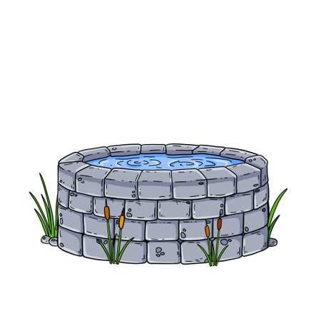 stone pond. City landmark and decoration. water tank and small lake. outline cartoon. Reeds and sedge.のイラスト素材