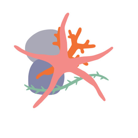 Starfish on seabed with rocks and algae. Decoration of water and ocean. Flat cartoon illustration isolated on whiteのイラスト素材