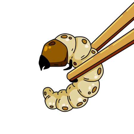 Edible larva. Eating caterpillar with chopsticks. Asian snack and street fast food. Source of insect proteinsのイラスト素材