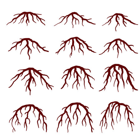 Set of Brown Tree Roots. silhouette illustration. Collection of Underground Plantのイラスト素材