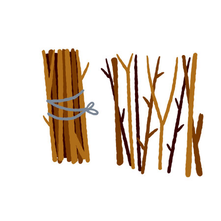 Bundle of firewood. Sticks for lighting a fire. Rustic element isolated on whiteのイラスト素材