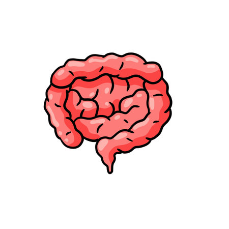 Intestine internal organ. Human pink digestive tract. Medical icon. Illustration isolated on whiteのイラスト素材