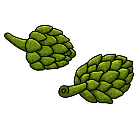 Hop plant. Green plant for making beer and drinks. Set of Sketch cartoon Flower and leaves isolated on white backgroundのイラスト素材