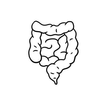 Intestine internal organ. human digestive tract. medical icon. Black and white illustration isolated on whiteのイラスト素材