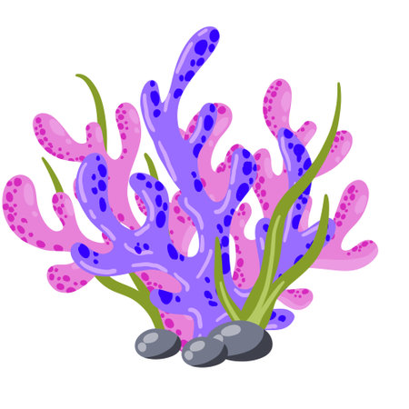 Coral reef and seaweed underwater plant. Aquarium, ocean and undersea decoration isolated on white background. marine tropical water life. cartoon vector illustrationのイラスト素材