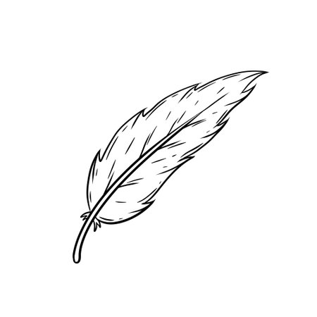 Bird feather. Decorative element. Cartoon illustration. Plumage of flying animals for Coloring bookのイラスト素材