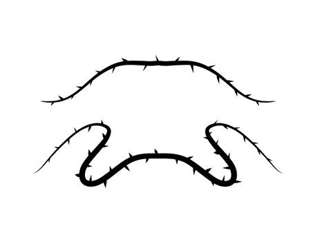 Thorn branch or vine. Natural intertwined pattern. Element of tattoo with spike.のイラスト素材