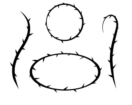 Thorn branch or vine. Natural intertwined pattern. Element of tattoo with spike.のイラスト素材