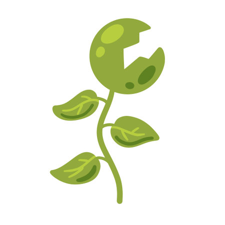 Predatory plant. Venus flytrap. Flat cartoon isolated on white. Flycatcher horror flower with teeth. Exotic tropical monster plantのイラスト素材
