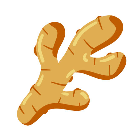 Ginger root. Spicy flat ingredient icon. Asian aroma medicine herb. Raw seasoning vegetable isolated on white background. Spice flavor foodのイラスト素材