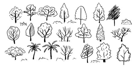 Tree sketch set. Silhouette of forest plant. Doodle outline black wood. Collection of branch decoration. Cartoon park foliage trunk. Abstract landscapeのイラスト素材