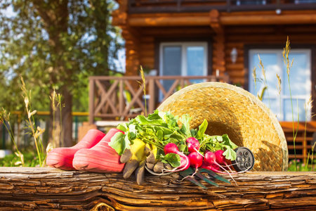 gardeningの写真素材