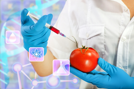 genetic modificationの写真素材