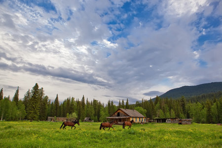 farm landscape