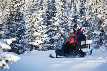 snowmobiling in winter forestの写真素材