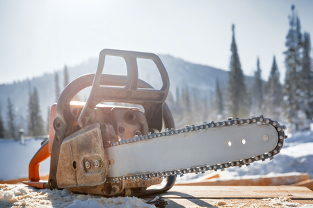 Chainsaw. Logging.の写真素材