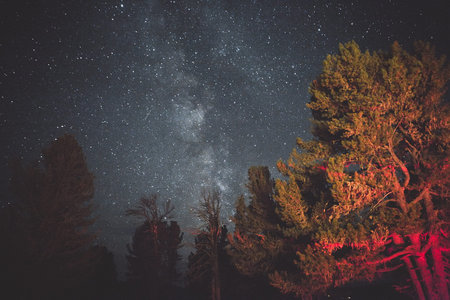 wild nature sky. milky way.の写真素材
