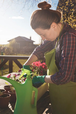 Gardening. Planting flowers.の写真素材